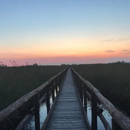 Stanza Accogliente E Ricercata Casa de hóspedes *