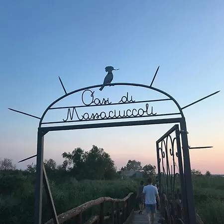 Stanza Accogliente E Ricercata * Quiesa