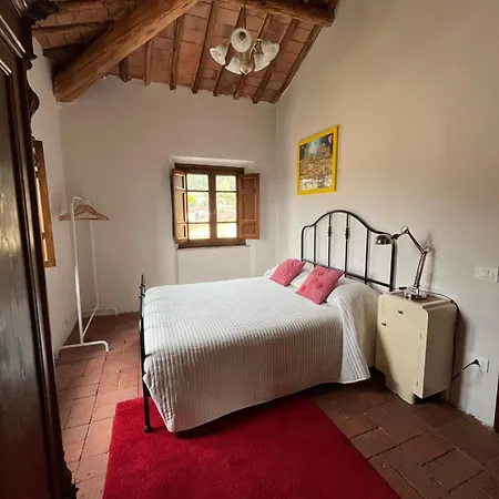 Stanza Accogliente E Ricercata
