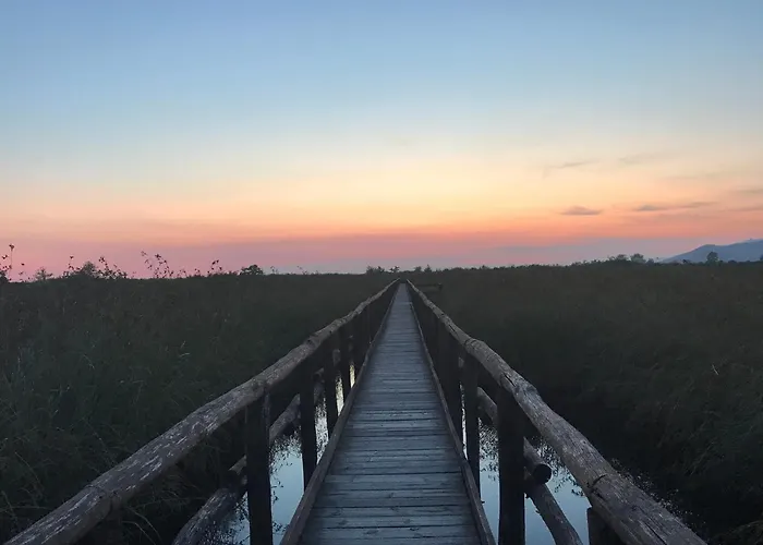 Stanza Accogliente E Ricercata Vendégház *
