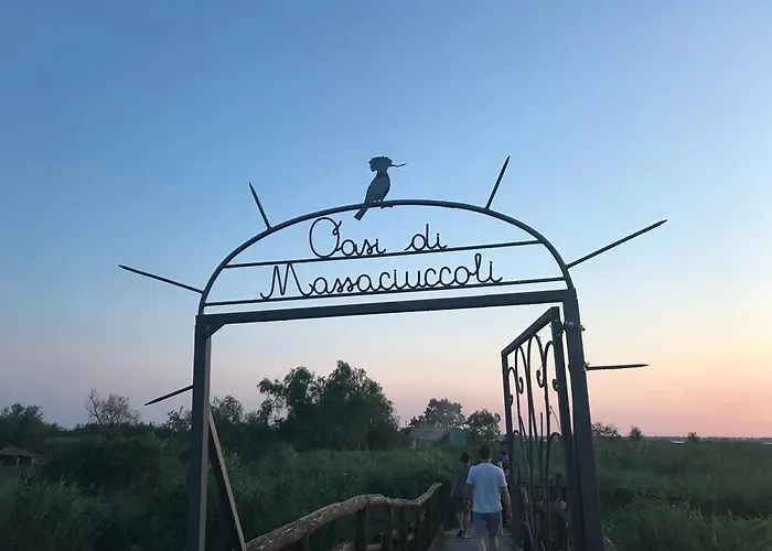 Stanza Accogliente E Ricercata * Quiesa